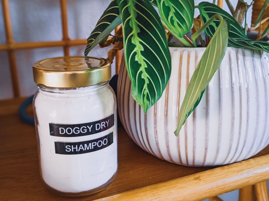 diy dog dry shampoo