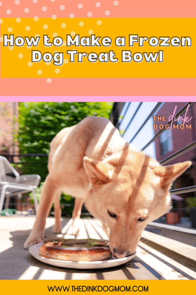 Make my dog's favorite summer treat! Keep your dogs mentally enriched